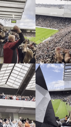 Newcastle game